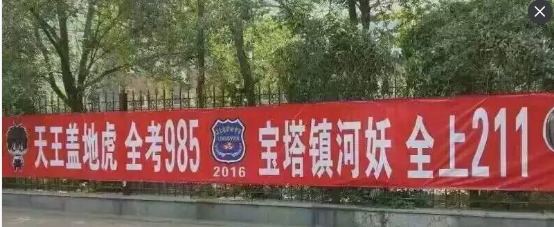 大红色针织植绒布